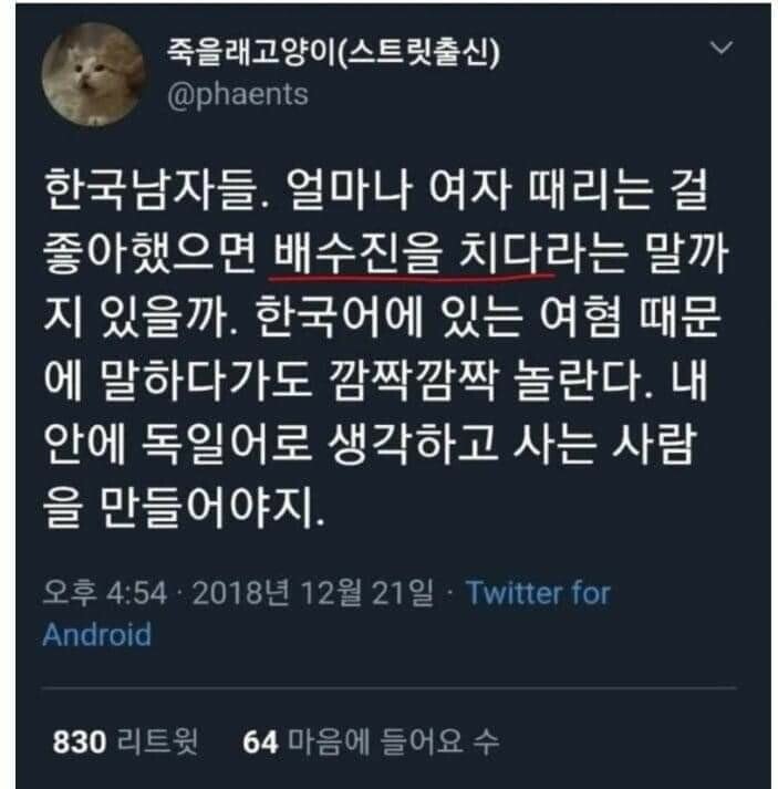 한국남자들 얼마나 여자 때리는걸 좋아했으면....jpg